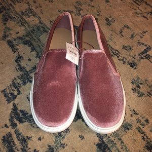 LOFT Pink Velvet Slip On Sneaker
